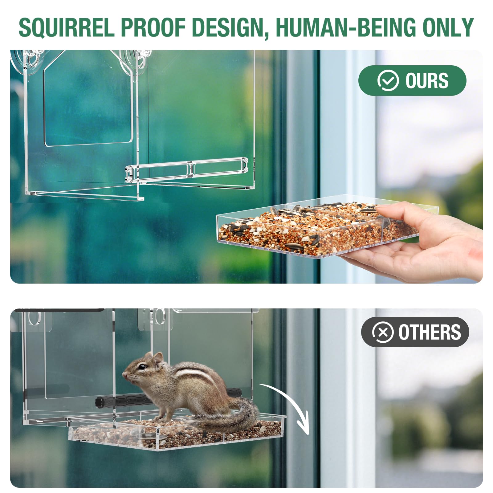 FLINTER Window Feeder squirrel-proof design helps keep critters away while you watch.