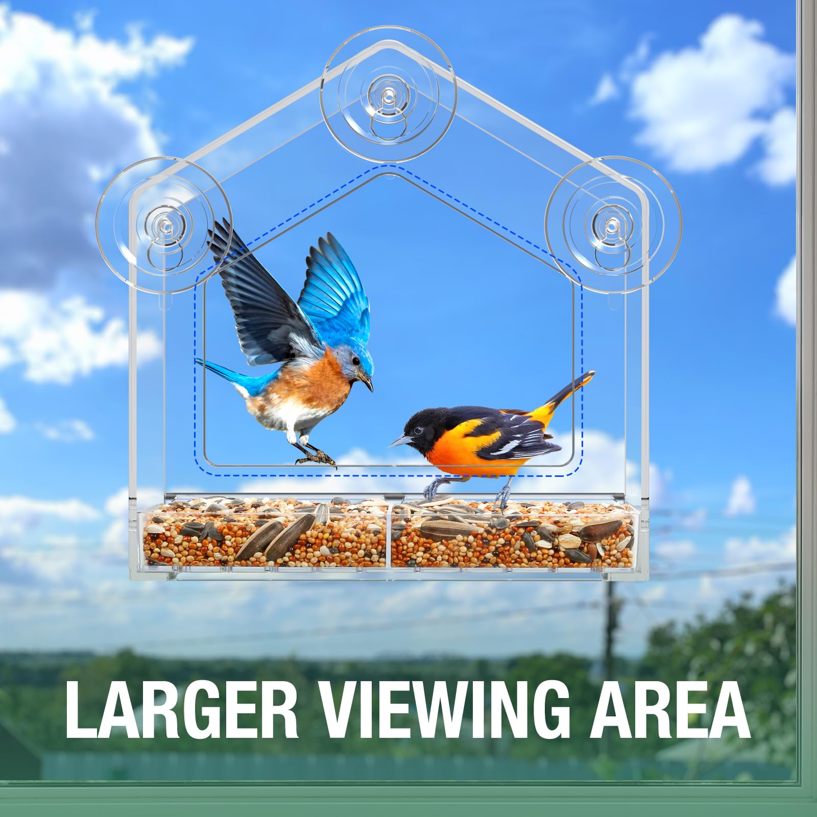 FLINTER Window Feeder suction cup demonstrates stable indoor viewing from your room.