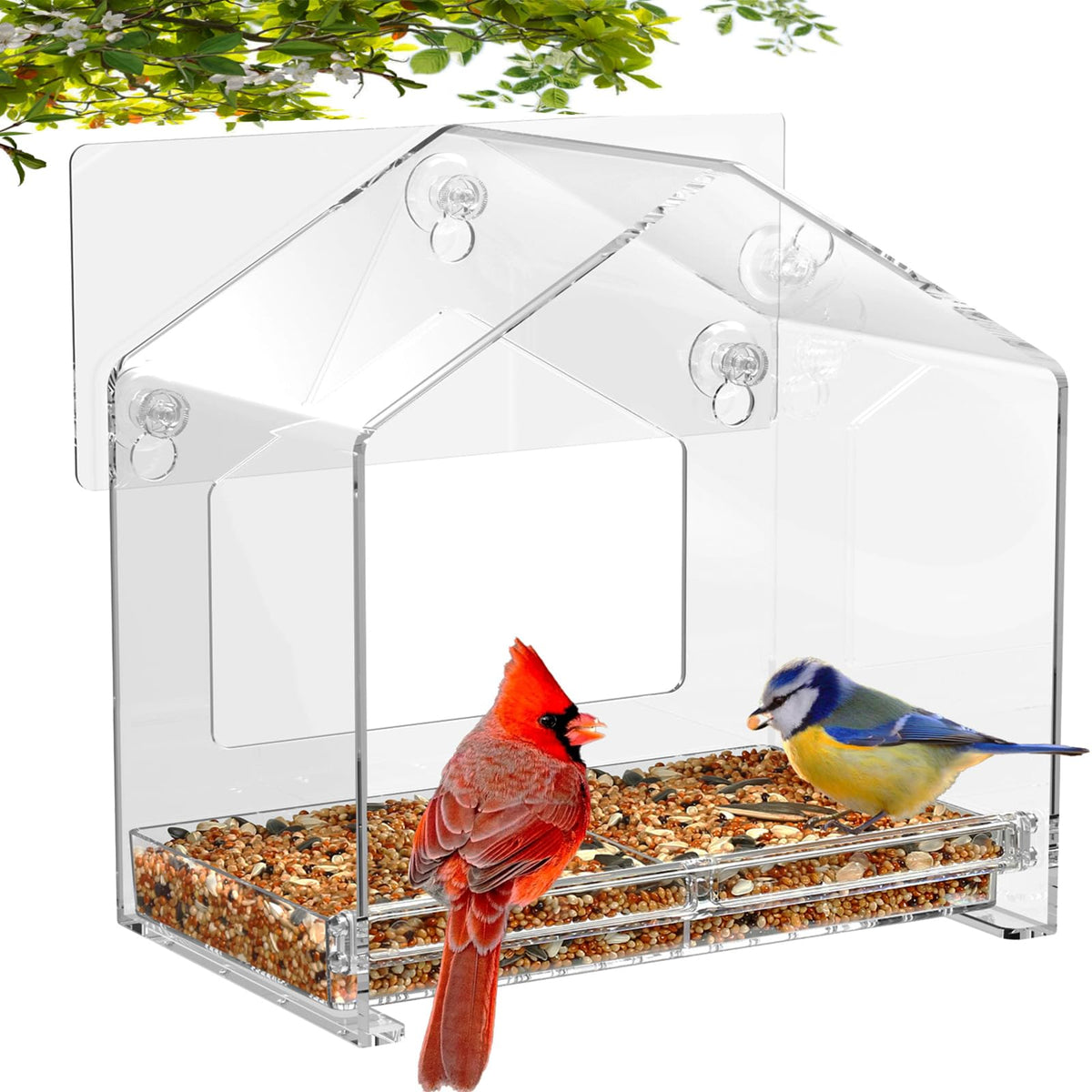 FLINTER Window Feeder viewing area provides crystal-clear close-ups of visiting birds.