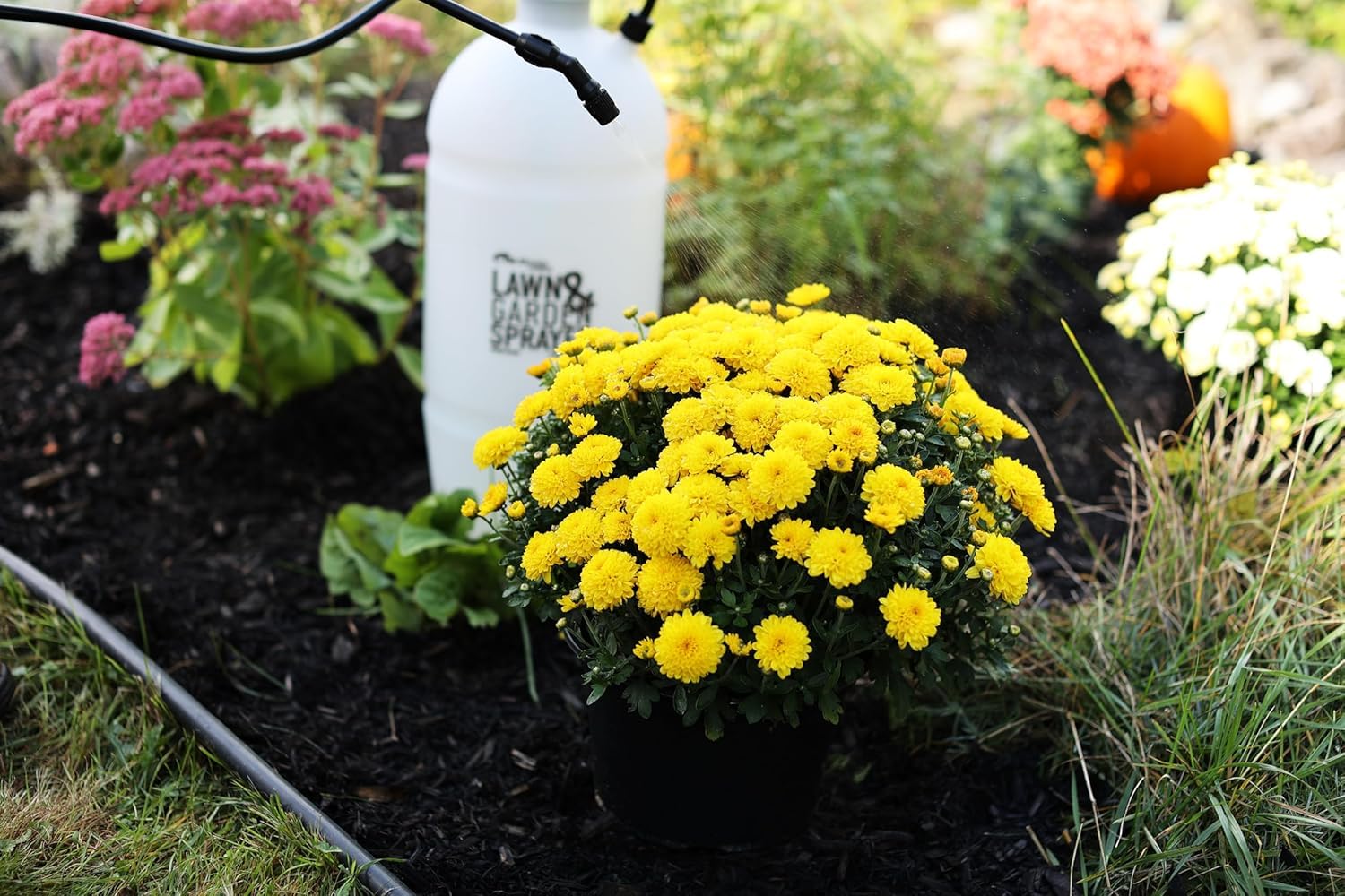 Thumb-switch on Flo-Master Hudson for comfortable continuous spraying