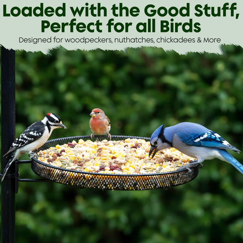 Flockin' acclimation image—birds adjust to new feed over time.