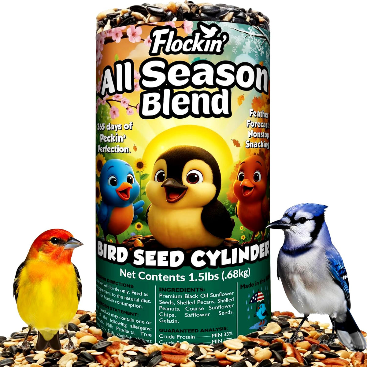 Flockin all-year-round seed cylinder with hole at feeder attracts diverse backyard birds.