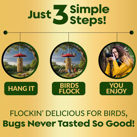 Flockin bird feeder activity with lively visitors