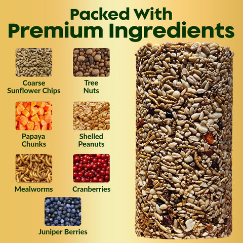Mealworms and nuts visible in the Flockin' blend attracting birds.