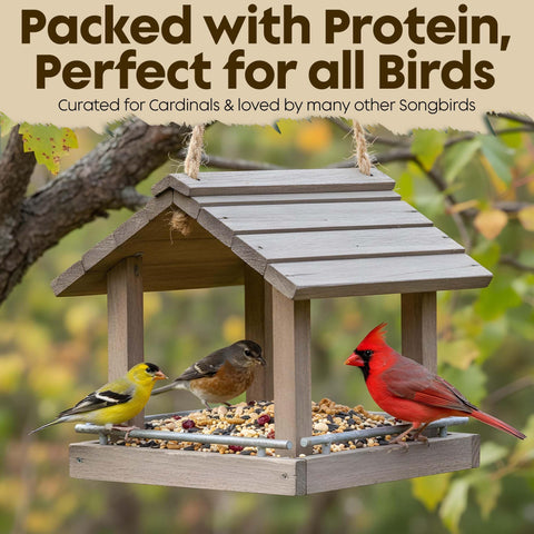 Flockin' Cardinal Seeds feeding scene demonstrates reliable attraction of cardinals and songbirds.