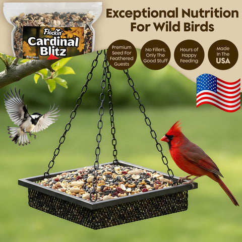 Flockin' Cardinal Seeds close-up with shelled peanuts for high-energy nutrition.