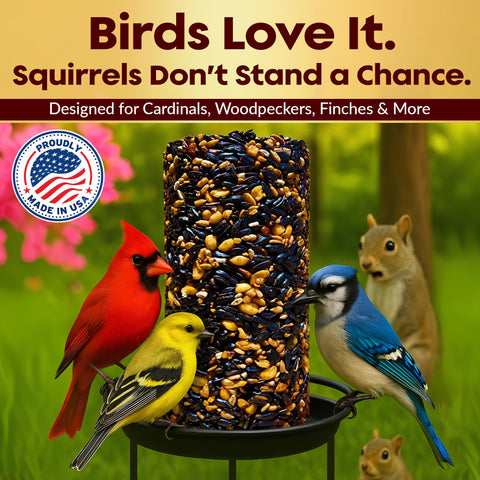Flockin' cardinals and finches feeding on premium blend at the feeder.