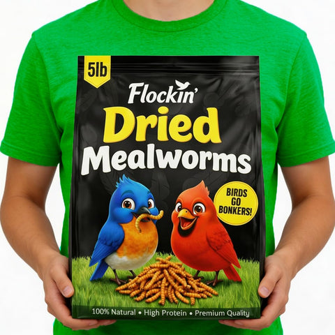 Flockin' dried mealworms in a bag attract backyard birds with high-protein energy.