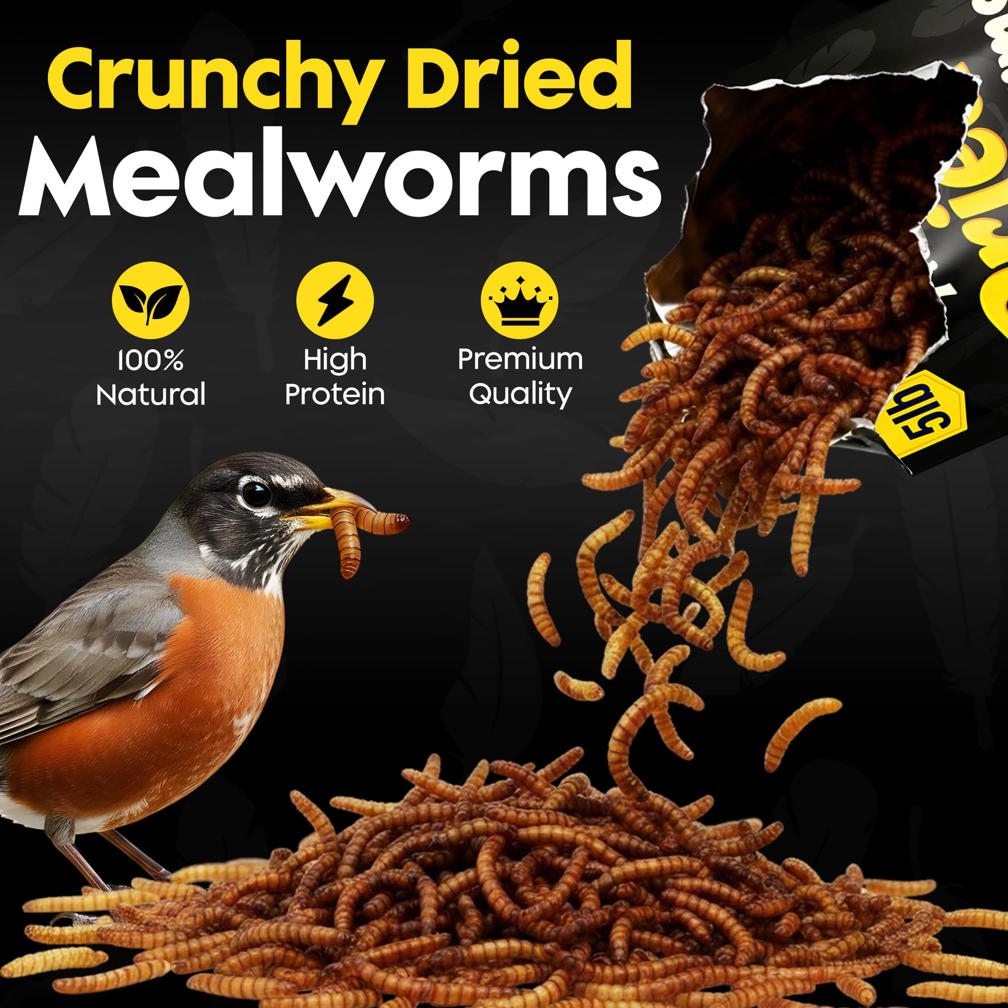 Flockin' dried mealworms in a feeder draw more visitors for year-round feeding.