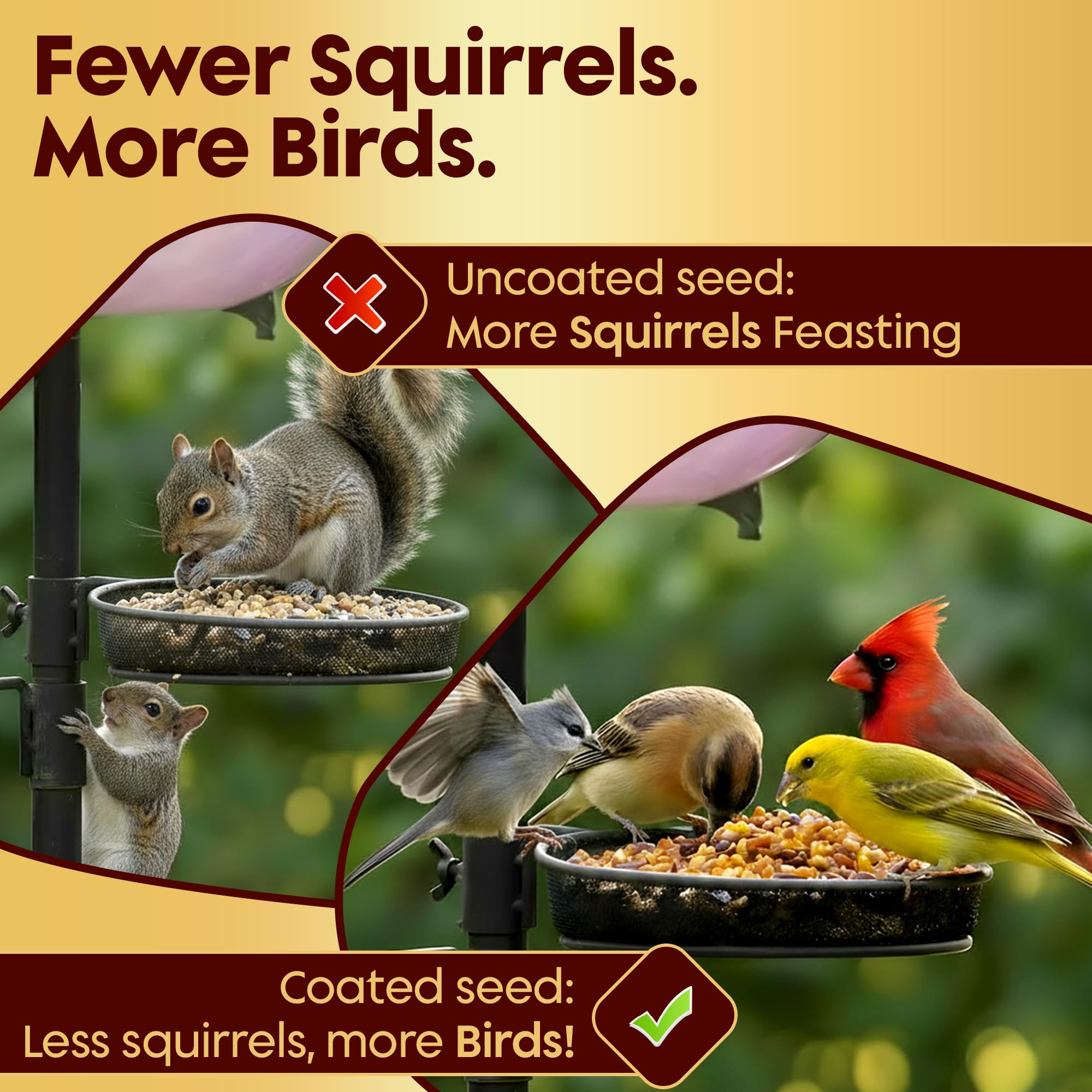 Bird feeder with treated seed near birds
