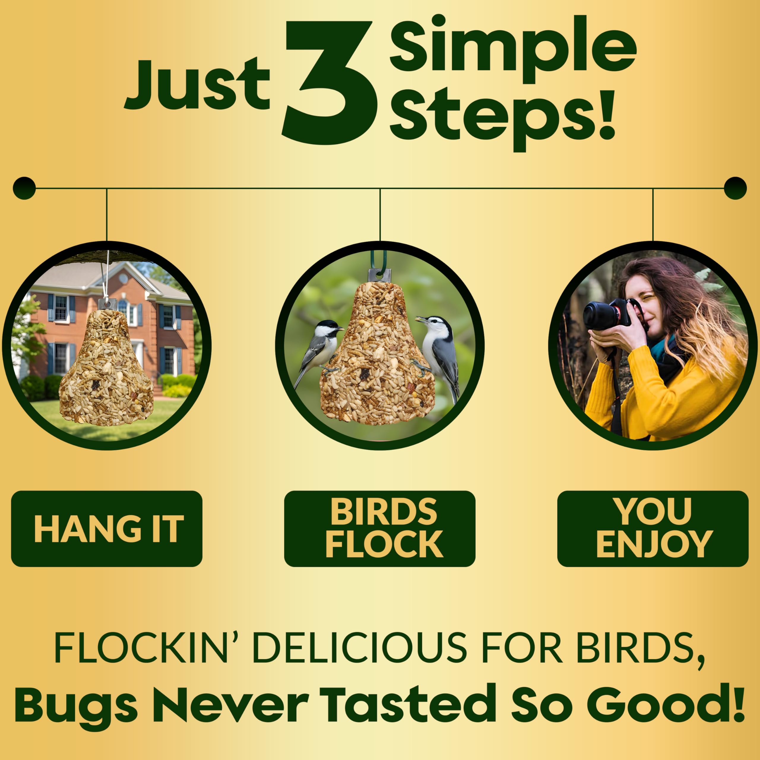 Flockin' seed bell supports slow, steady backyard bird activity.