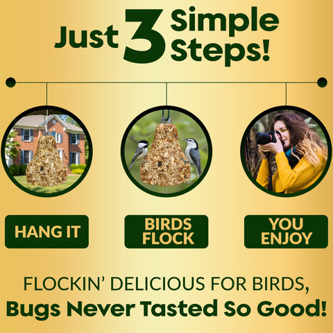 Flockin' seed bell supports slow, steady backyard bird activity.