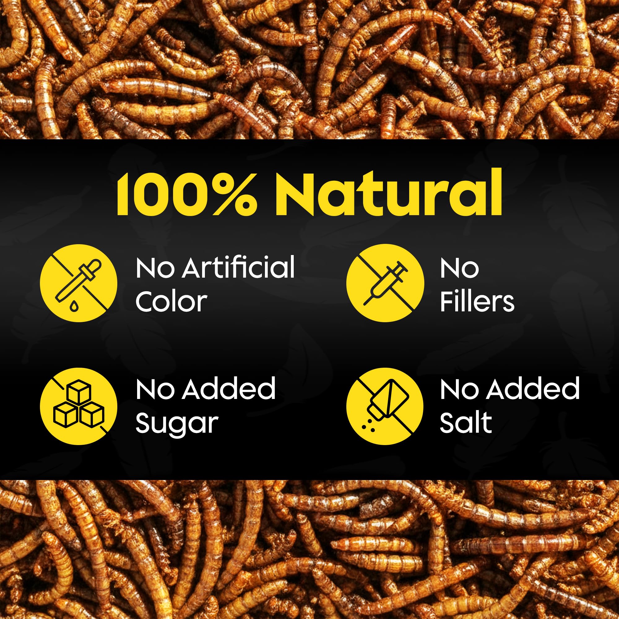 Flockin' dried mealworms help birds during molt by providing steady energy.