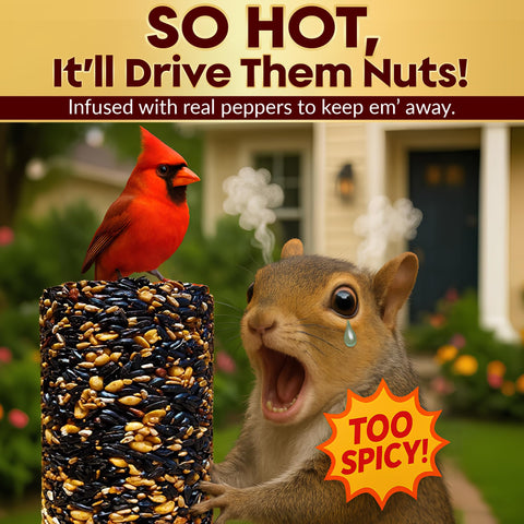 Flockin spicy seed cylinder on a rod feeder attracts finches and cardinals.
