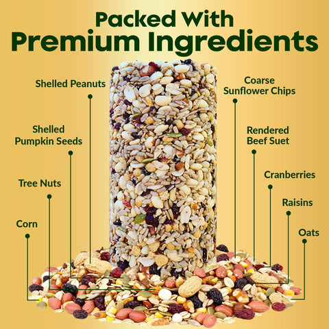 Flockin' Woodpecker Seed Cylinder close-up ingredients highlight energy-rich blend.