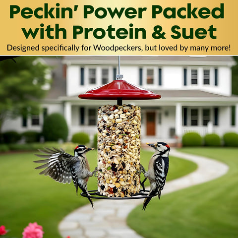 Flockin' Woodpecker Seed Cylinder attracts blue jays and chickadees.