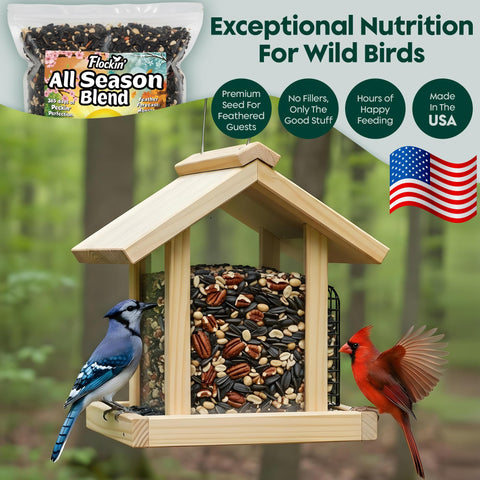 Flockin year-round bird food backyard feeder setup ready for daily visits.