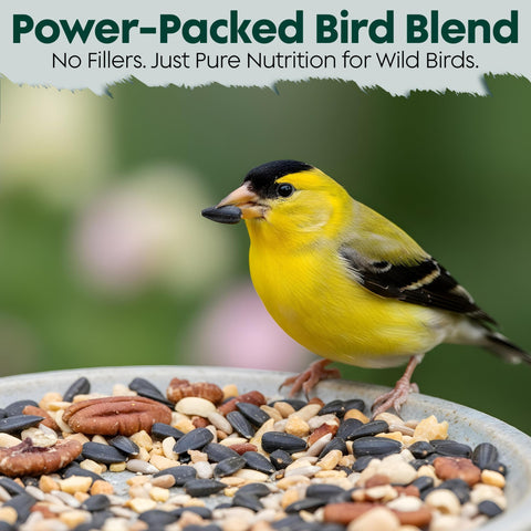 Flockin year-round bird food dry storage bag keeps seeds fresh.