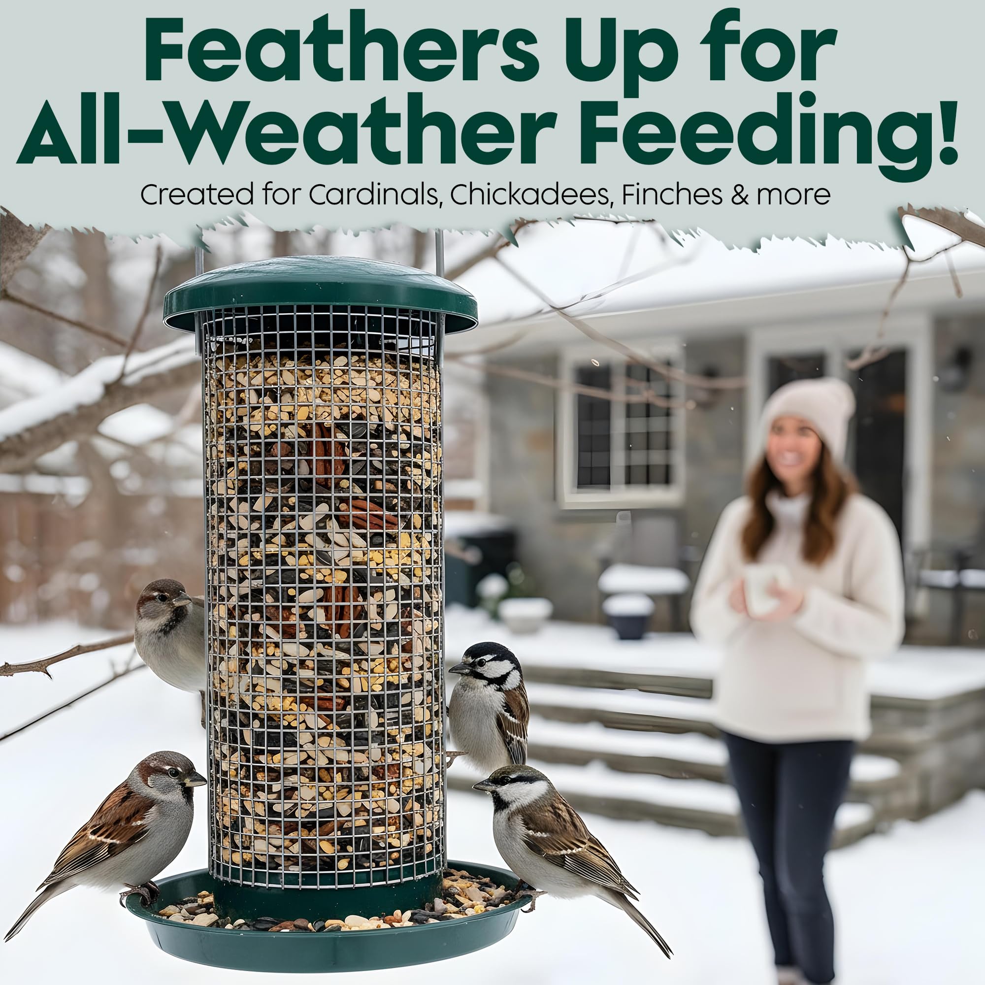 Flockin year-round bird food winter backyard birds visiting feeder.