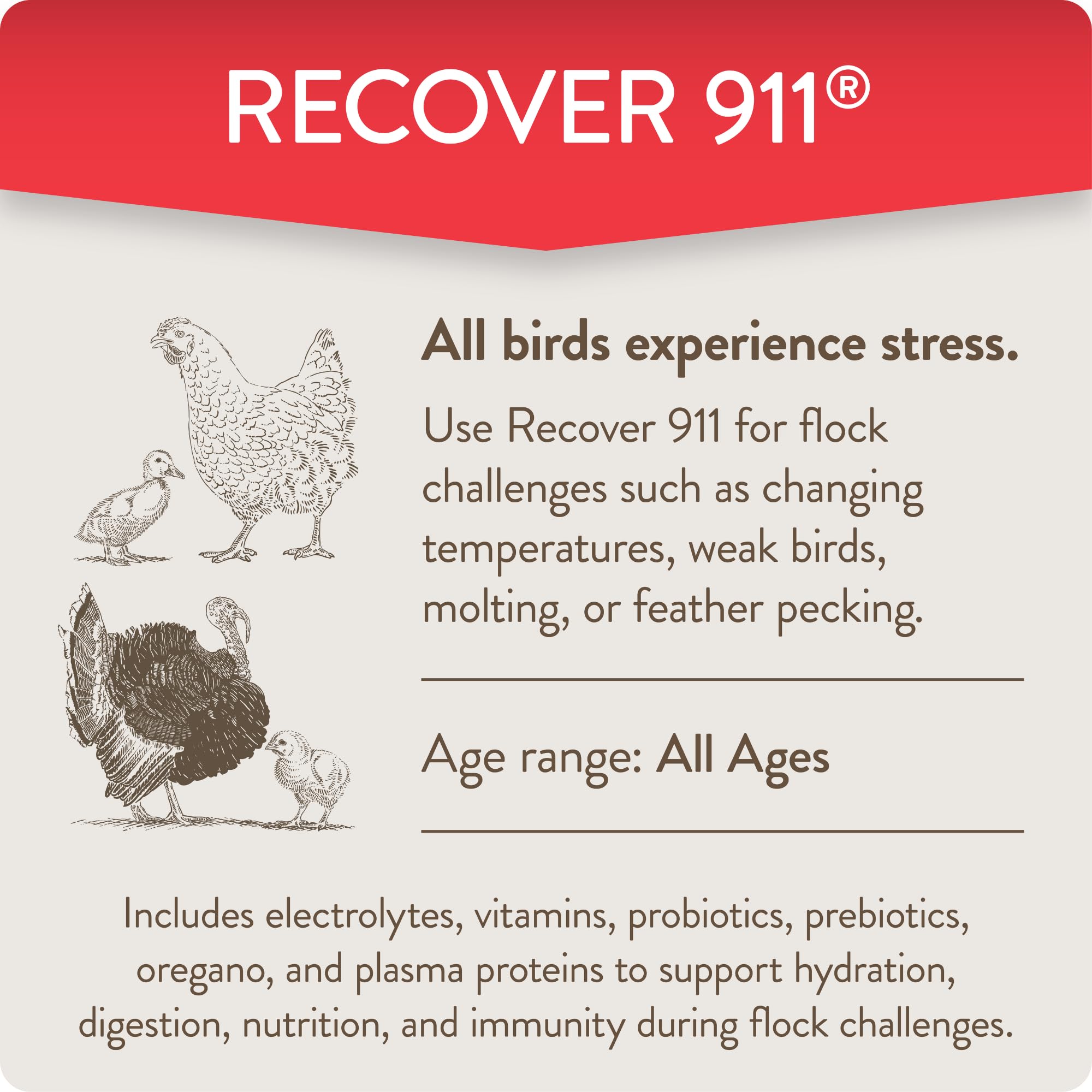 FLOCKLEADER Recover 911 bottle in coop as a chicken drinks nearby.