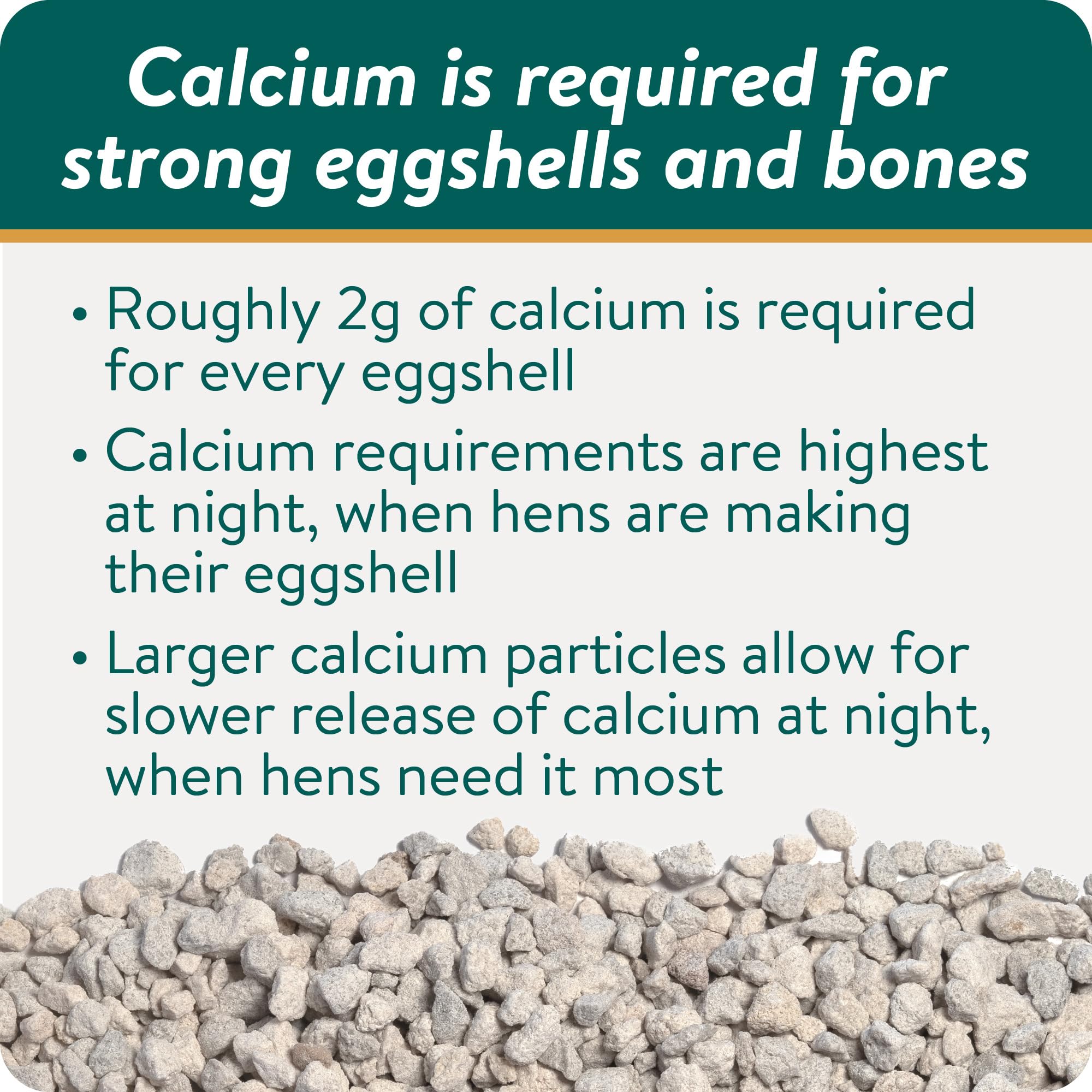 Eggshell closeup showing potential strength with FLOCKLEADER Builder