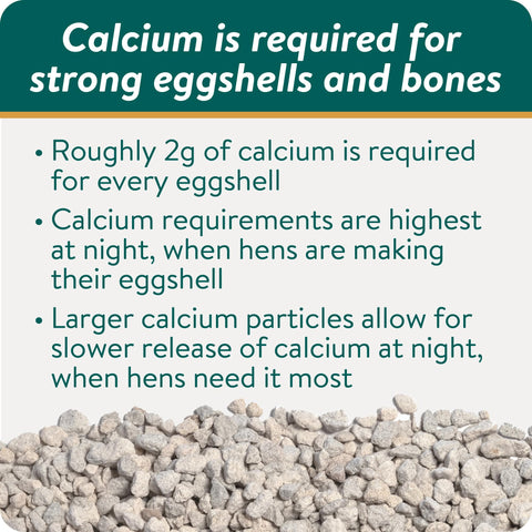 Eggshell closeup showing potential strength with FLOCKLEADER Builder