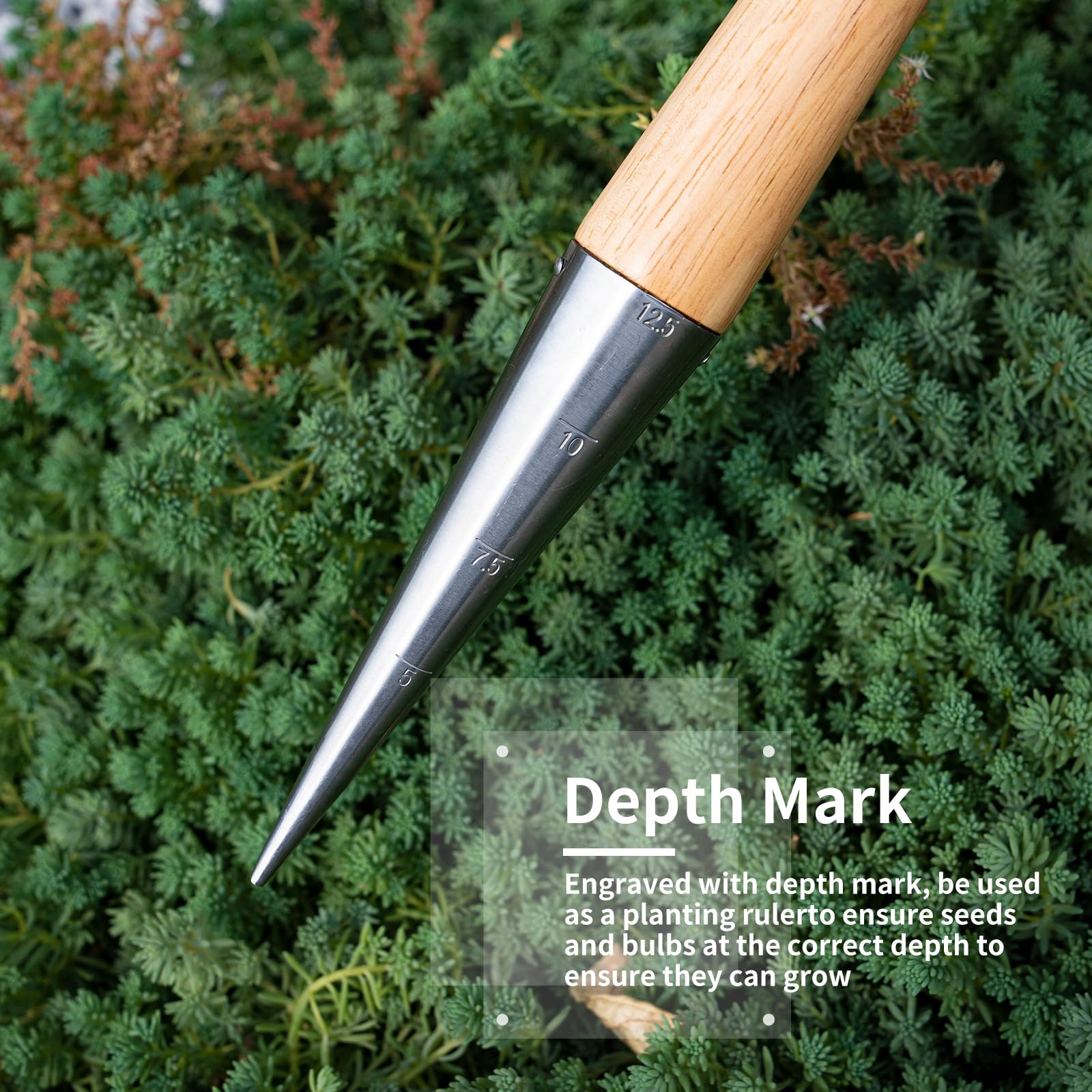 FLORA GUARD dibber shows depth markings for uniform depth every time