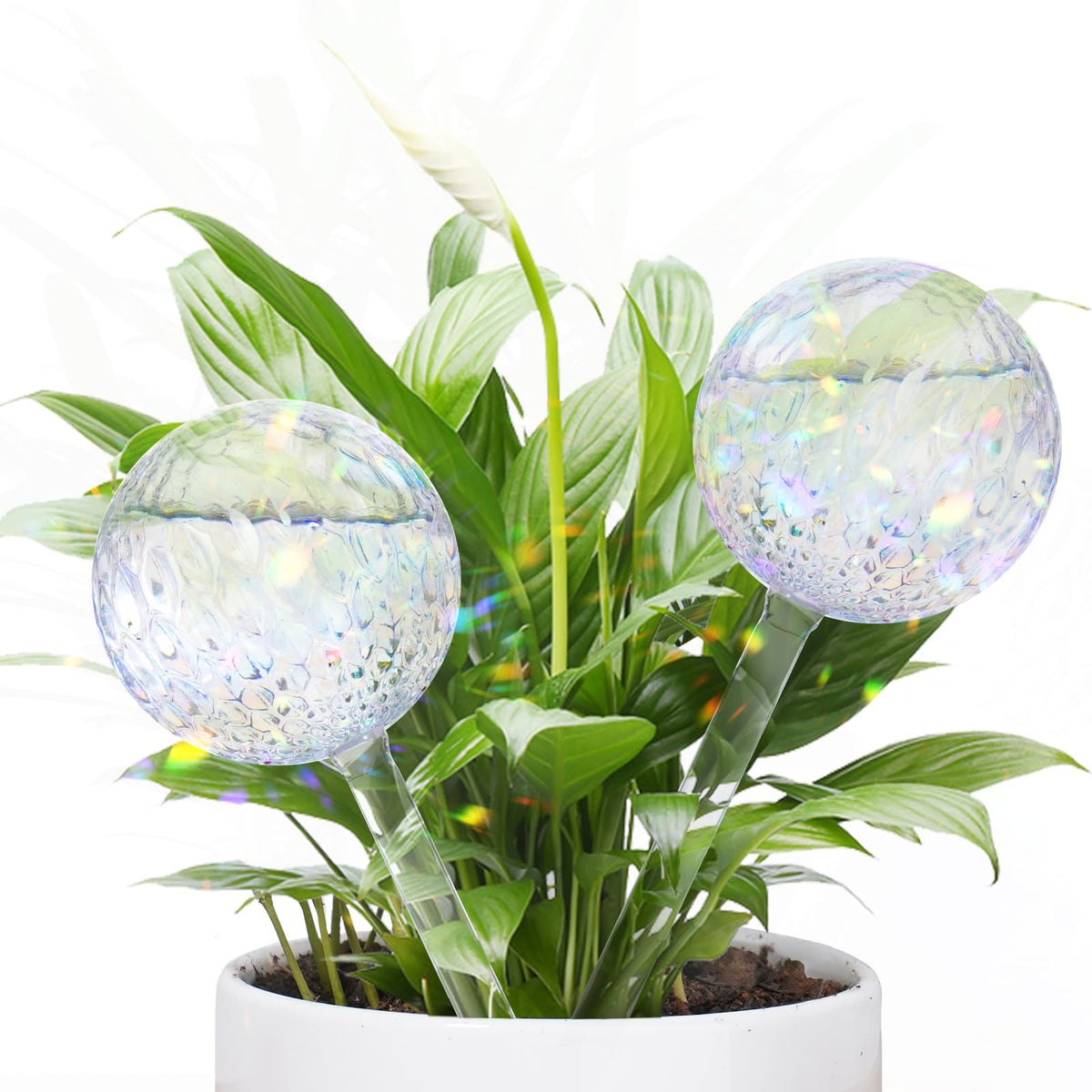 FLORA GUARD RainbowGlass water globe in pot for steady moisture.