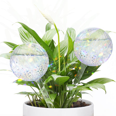 FLORA GUARD RainbowGlass water globe in pot for steady moisture.