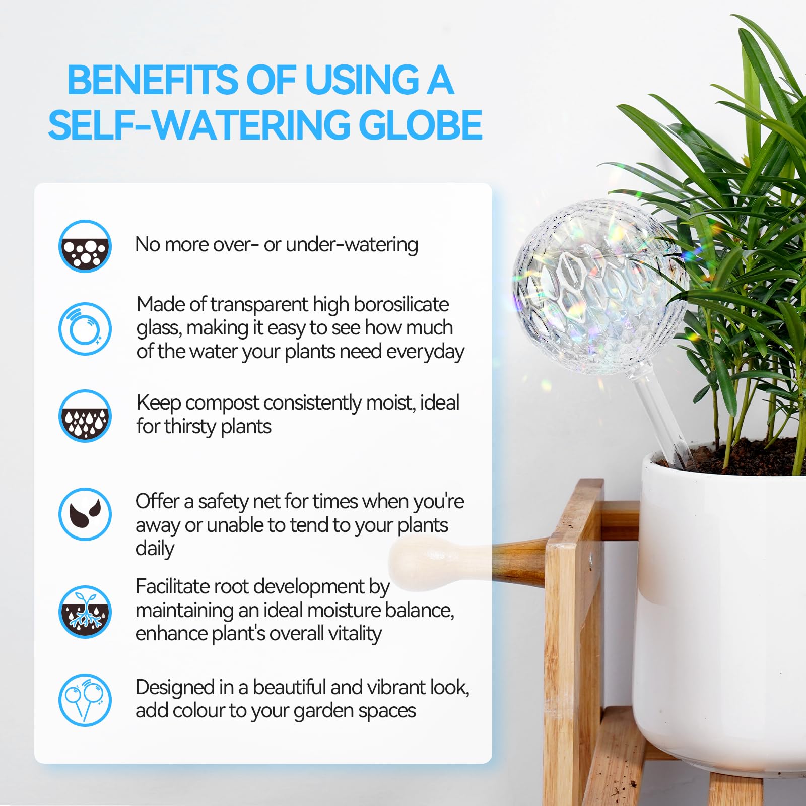 FLORA GUARD Transparent boron-silica glass globe ready for easy plant care.