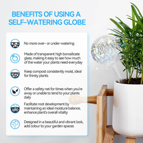 FLORA GUARD Transparent boron-silica glass globe ready for easy plant care.