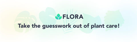 Flora premium plant mister close-up on nozzle for precise spraying control.