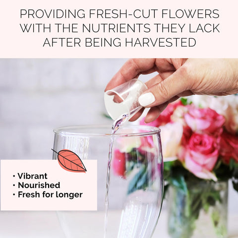 Flower foam arrangement fed by Floralife flower food for vitality