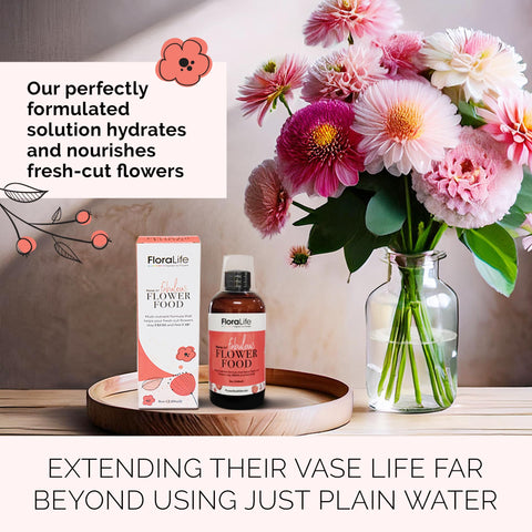 Floralife liquid multi-nutrient formula supports bloom vitality