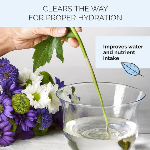 FloraLife Quick Dip packaging highlights post-harvest care.