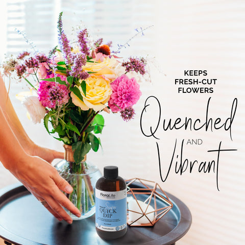 FloraLife Quick Dip ready-to-use solution for easy hydration.
