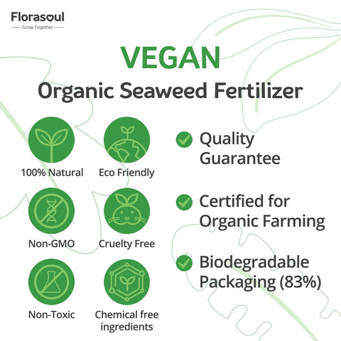 Florasoul flakes near plant roots promote robust root growth.