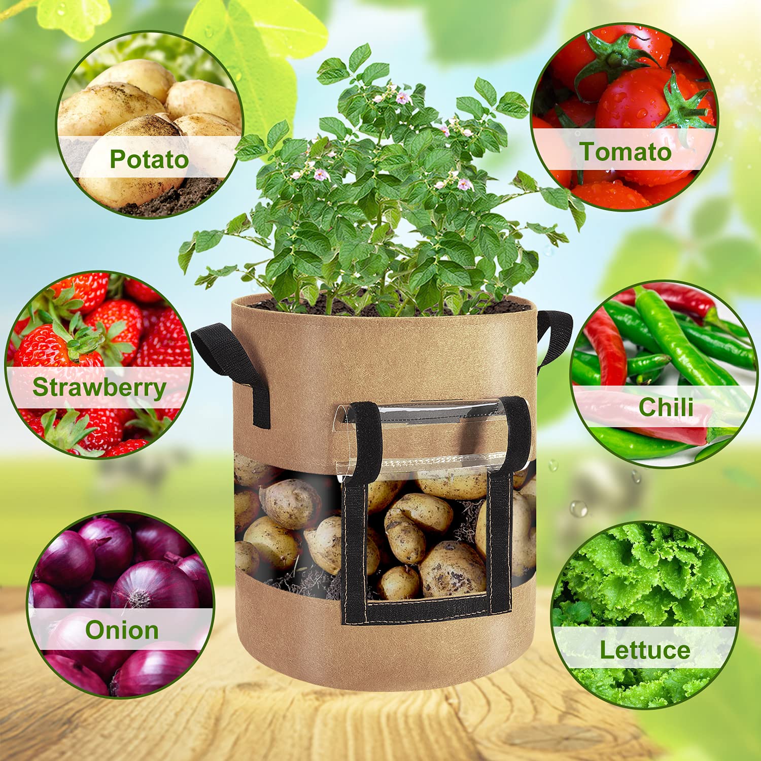 Florelf flap window design enables harvest without disturbing the plant