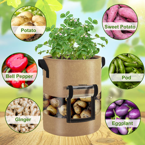 Florelf 10gal grow bag with flap enables quick root checks