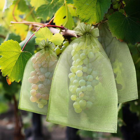 FloraSea bags for fruits and veggies shield harvests from pests and birds.