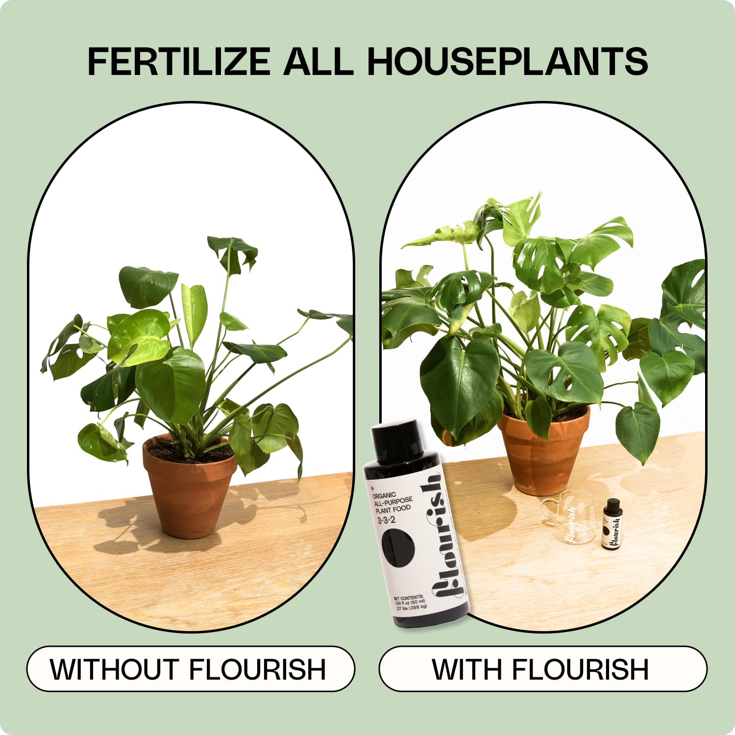 Flourish indoor-plants-leaf-growth demonstrates healthier foliage after feeding.