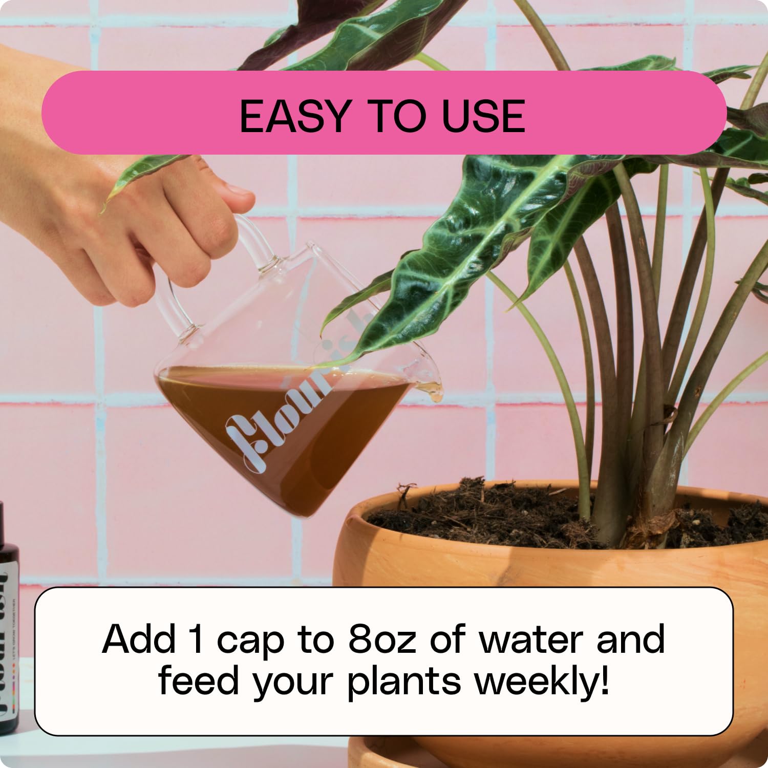 Flourish packaging-sustainability highlights eco-conscious packaging for home gardening.