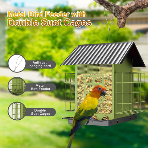 FlowaFoli bird feeder with double suet cage attracts diverse birds in the yard.