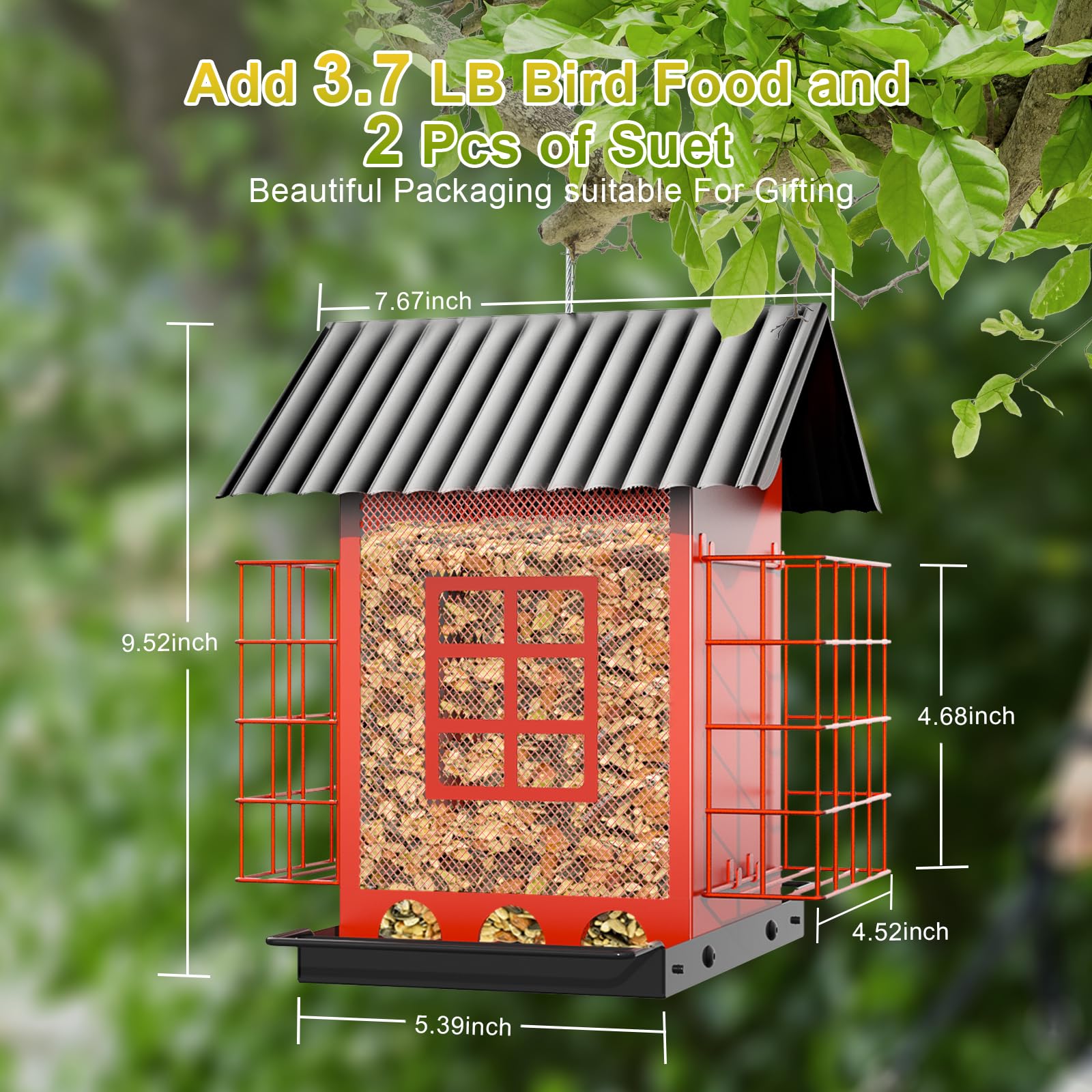 FlowaFoli bird feeder with large opening to monitor seed levels.