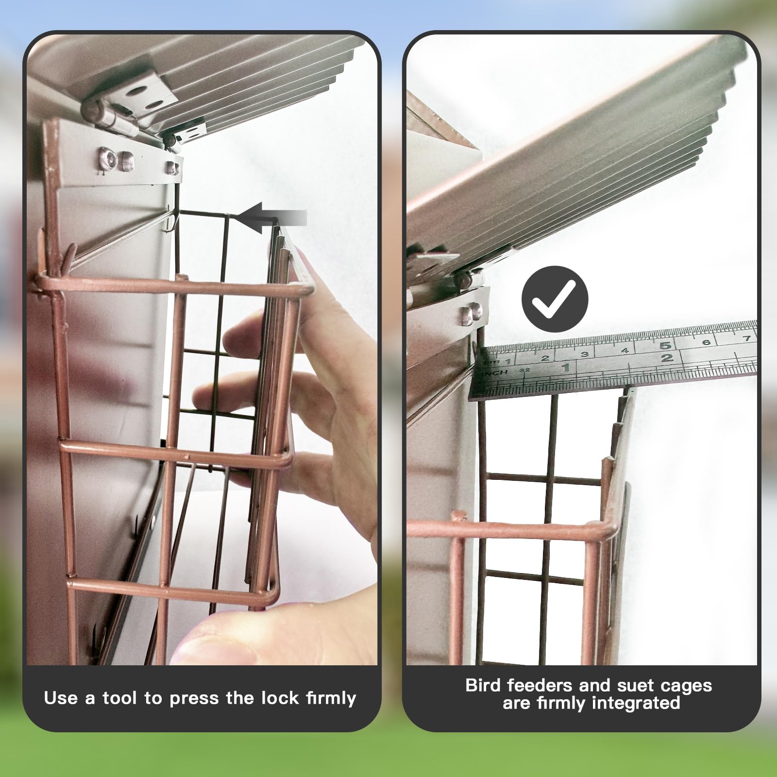 FlowaFoli double suet cage keeps feeding zones organized for mixed bird visits.