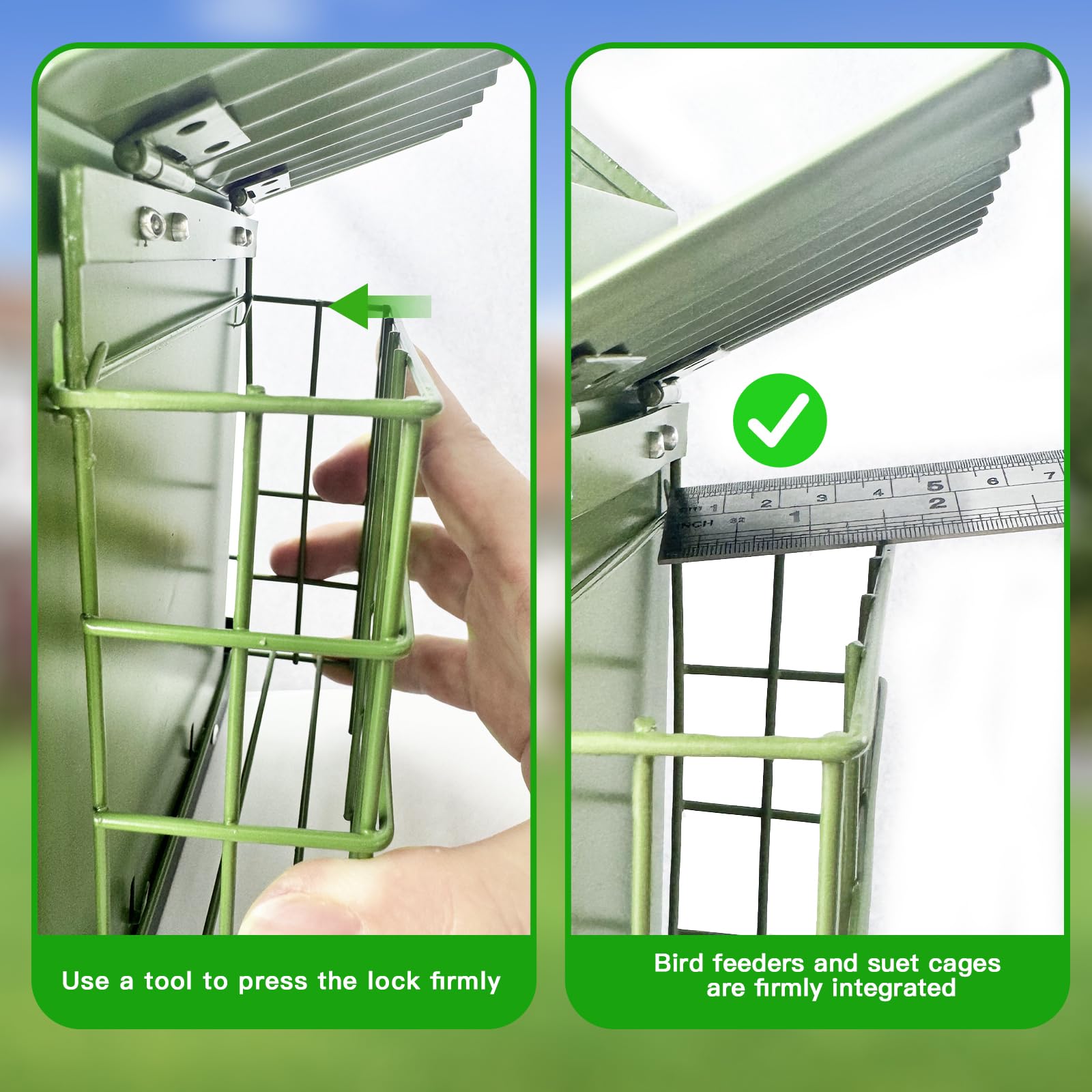 FlowaFoli dual suet cages provide two feeding zones for mixed birds.