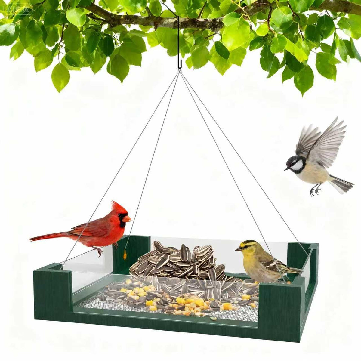 Flowafoli Platform Bird Feeder with clear view enhances outdoor birdwatching and seed monitoring.
