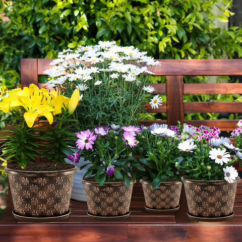 Flowyypo decorative pot makes a thoughtful gift for plant lovers.