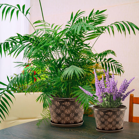 Flowyypo planters in multiple sizes from 8 to 16 inches for versatility