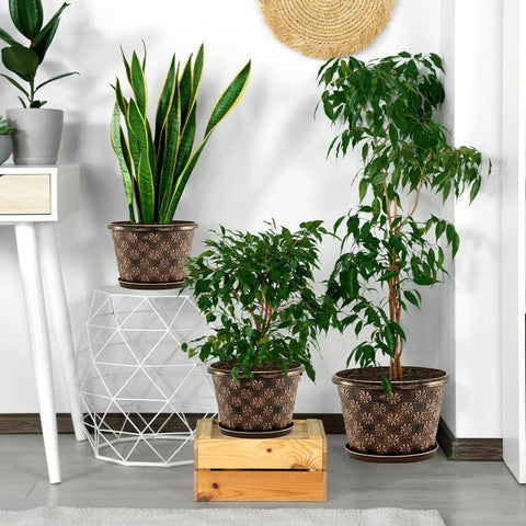 Flowyypo durable UV-resistant planter pack for long-lasting outdoor use.